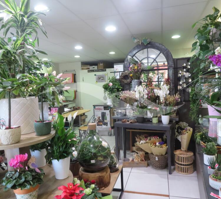 S0138 | Fonds artisanal - Fleuriste