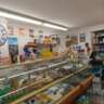 M0381 | EPICERIE ET GESTION D'UN CAMPING MUNICIPAL